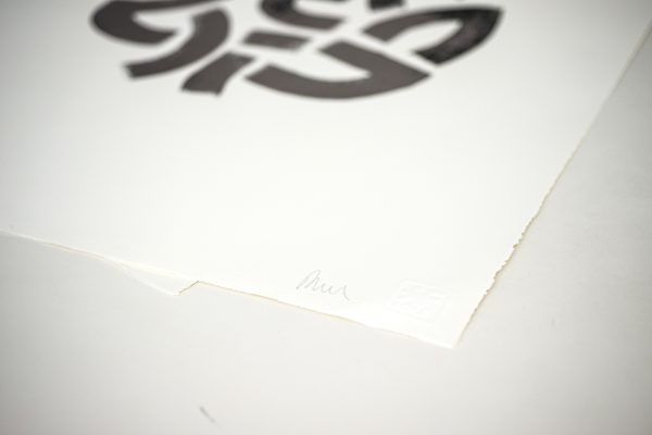 Raul33 "SUN" "Bronze" - immagine 6